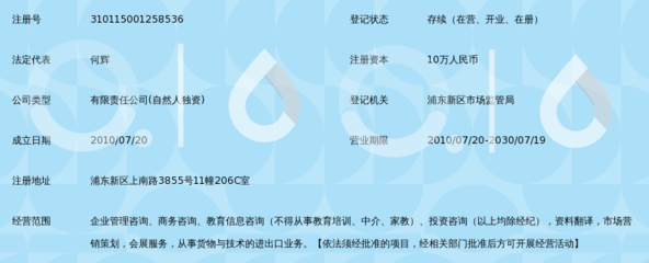 上海零导力企业管理咨询 引领变革的信息咨询领航者