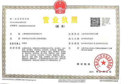 证照信息深度解读 上海信息咨询公司的合规之道