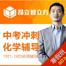 上海昂立智立方中考冲刺化学寒假辅导培训班联系方式更新